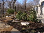 Rockford landscape design services include planting