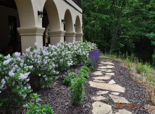 Rockford landscaping