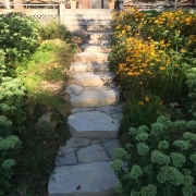 Photo Aug 18, 8 09 28 AM